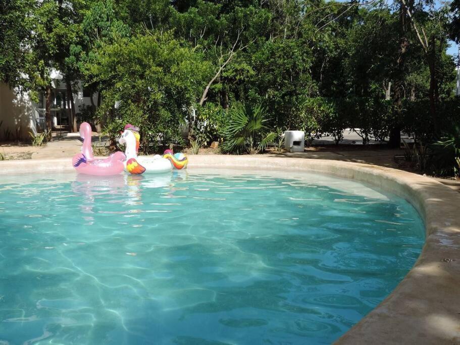 Departamento Residencial Con Alberca קנקון מראה חיצוני תמונה